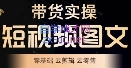 鑫哥·2024零基础短视频带货实操营-优创项目网
