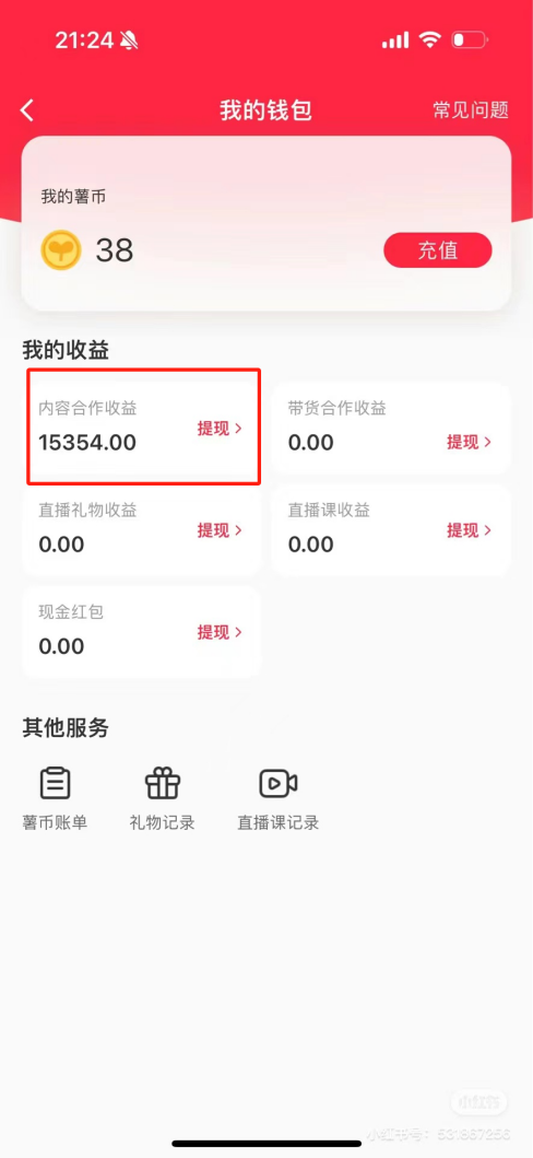 热门评论引爆小红书流量，作品制作简单，广告接到手软，月入过万不是梦-优创项目网