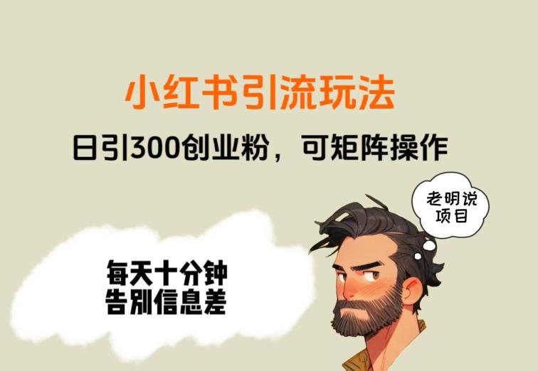 靠小红书视频日印300粉，两分钟一个视频轻松矩阵-优创项目网