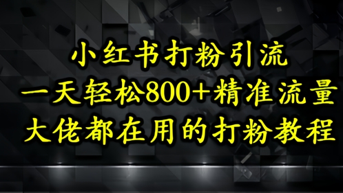 小红书打粉引流，一天轻松500+精准流量，大佬都在用的打粉教程-优创项目网