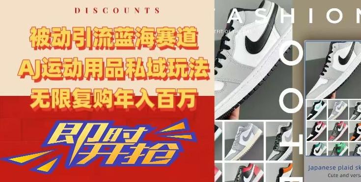 被动引流蓝海赛道，AJ运动用品私域玩法，无限复购年入百万【揭秘】-优创项目网