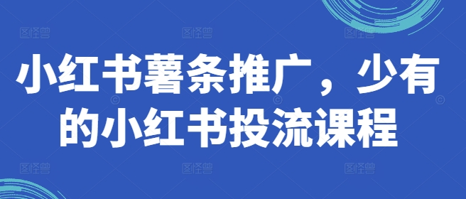 小红书薯条推广，少有的小红书投流课程-优创项目网