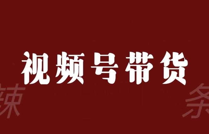 视频号带货联盟，赚信息差的带货钱，只需手机随时随地都可以做！-优创项目网