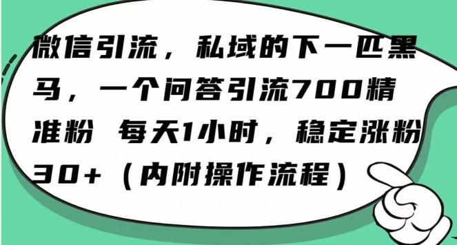 怎么搞精准创业粉？微信新赛道，每天一小时，利用Ai一个问答日引100精准粉-优创项目网