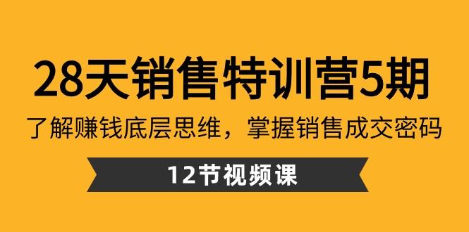 28天销售特训营5期：了解赚钱底层思维，掌握销售成交密码（12节课）-优创项目网