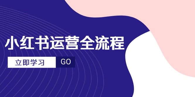小红书运营全流程，爆款选题文案，视频制作技巧，进阶达人宝典-优创项目网