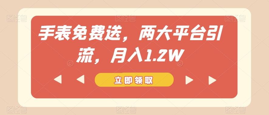 手表免费送，两大平台引流，月入1.2W【揭秘】-优创项目网