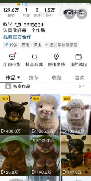 抖音65W博主AI萌宠课程，新赛道流量大，原创+二创，全套课程+提示词-优创项目网