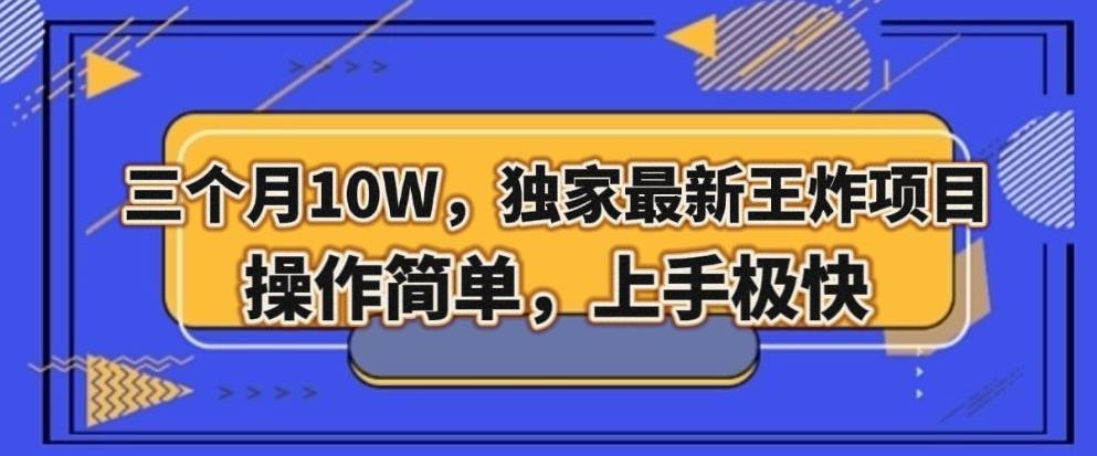 三个月10W，独家最新王炸项目！操作简单，上手极快【揭秘】-优创项目网