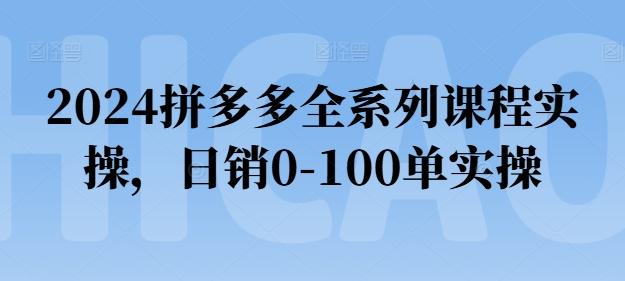2024拼多多全系列课程实操，日销0-100单实操【必看】-优创项目网