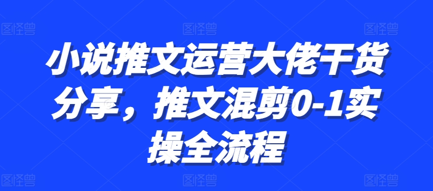 小说推文运营大佬干货分享，推文混剪0-1实操全流程-优创项目网