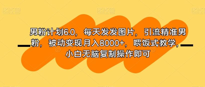 男粉计划6.0，每天发发图片，引流精准男粉，被动变现月入8000+，喂饭式教学，小白无脑复制操作即可-优创项目网