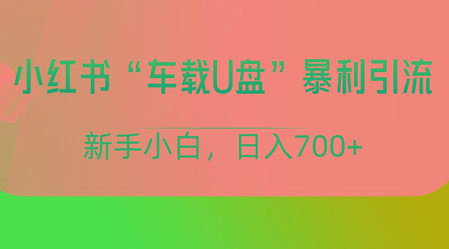 小红书“车载U盘”项目，暴利引流，新手小白轻松日入700+-优创项目网