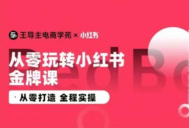 王导主·小红书电商运营实操课，​从零打造  全程实操-优创项目网