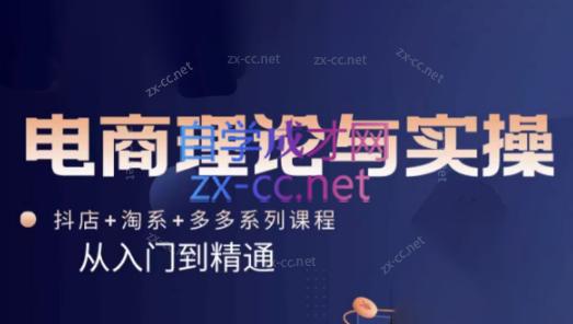 磊子·电商理论与实操(抖店+淘系+拼多多)-优创项目网
