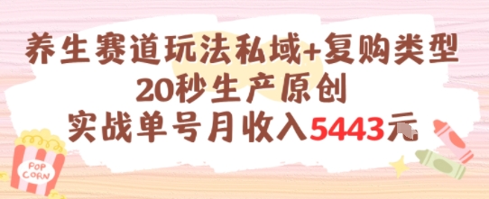养生赛道玩法私域+复购类型，20秒生产原创实战单号月收入5k+-优创项目网