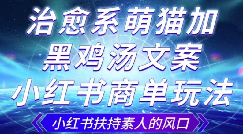 治愈系萌猫加+黑鸡汤文案，小红书商单玩法，3~10天涨到1000粉，一单200左右-优创项目网