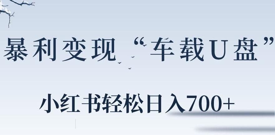 小红书“车载U盘”暴利引流，日入700+-优创项目网