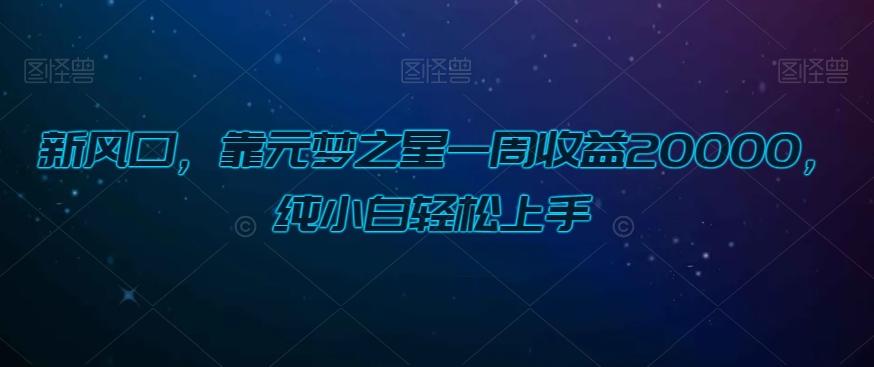 新风口，靠元梦之星一周收益20000，纯小白轻松上手-优创项目网