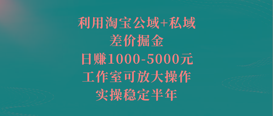 利用淘宝公域+私域差价掘金，日赚1000-5000元，工作室可放大操作，实操…-优创项目网