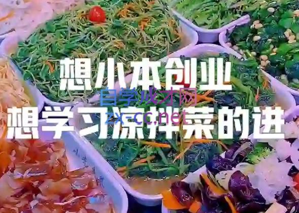李记·精品凉拌菜系列热卤系列教程-优创项目网