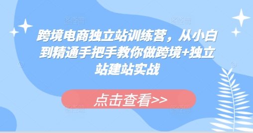 跨境电商独立站训练营，从小白到精通手把手教你做跨境+独立站建站实战-优创项目网