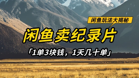 闲鱼卖纪录片1单3块钱，1天几十单，项目稳定有潜力-优创项目网