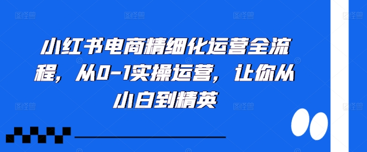 小红书电商精细化运营全流程，从0-1实操运营，让你从小白到精英-优创项目网