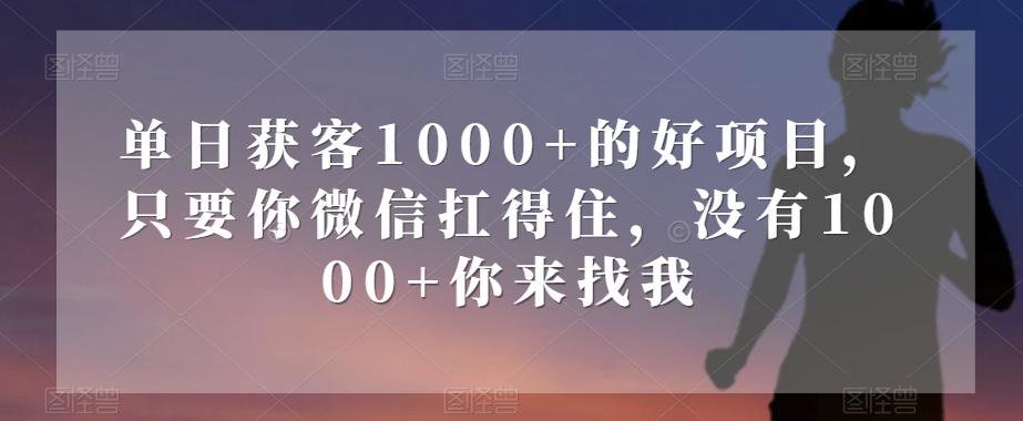 单日获客1000+的好项目，只要你微信扛得住，没有1000+你来找我【揭秘】-优创项目网