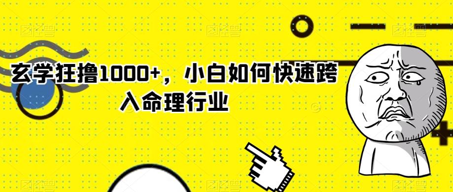 玄学狂撸1000+，小白如何快速跨入命理行业-优创项目网