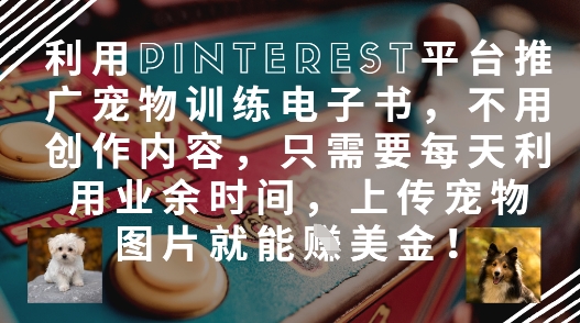 利用Pinterest平台推广宠物训练电子书，不用创作内容，只需要每天利用业余时间，上传宠物图片就能挣美金!-优创项目网