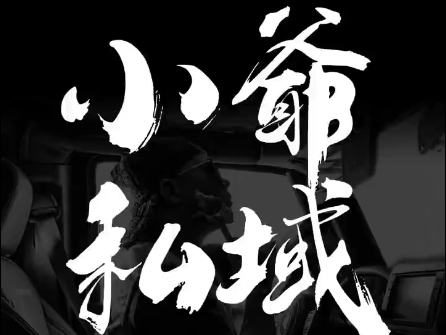 小爷·私域项目操盘手-优创项目网