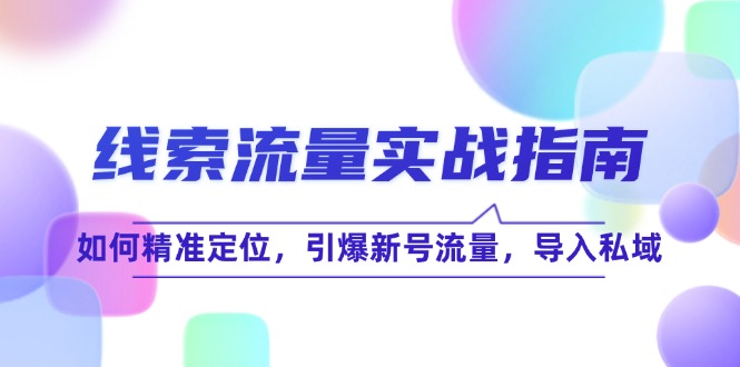 线 索 流 量-实战指南：如何精准定位，引爆新号流量，导入私域-优创项目网