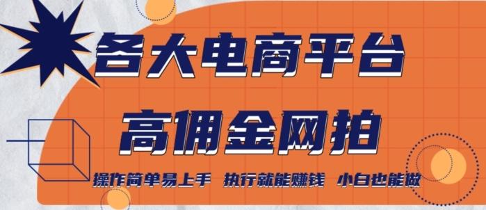 各大电商平台高佣金网拍，操作简单易上手，执行就能赚钱，小白也能做-优创项目网