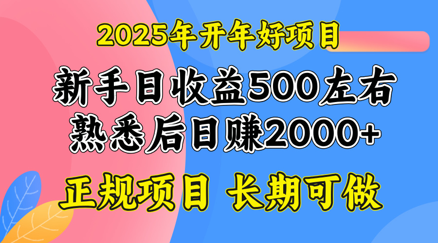 2025开年好项目，单号日收益2000左右-优创项目网