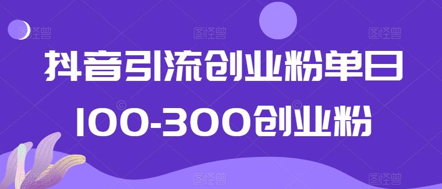 抖音引流创业粉单日100-300创业粉【揭秘】-优创项目网