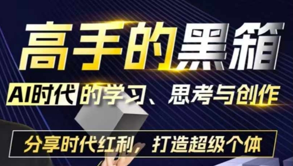 高手的黑箱：AI时代学习、思考与创作-分红时代红利，打造超级个体-优创项目网