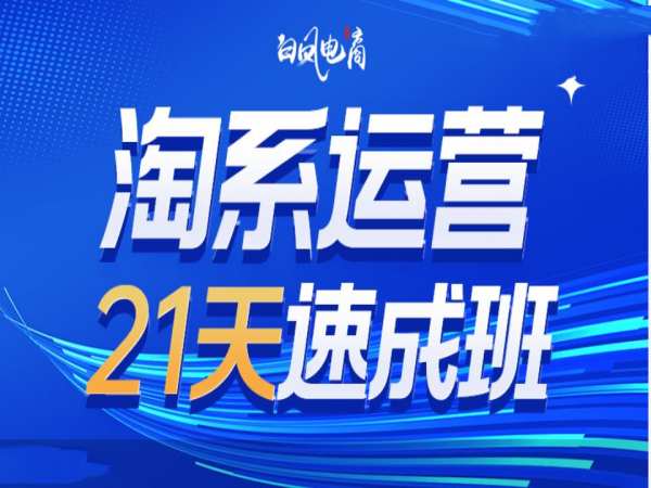 淘系运营21天速成班35期，年前最后一波和2025方向-优创项目网