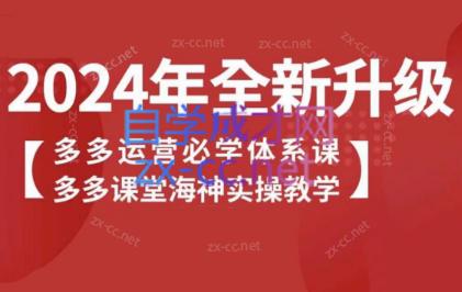 海神老师·拼多多运营必学体系课-优创项目网