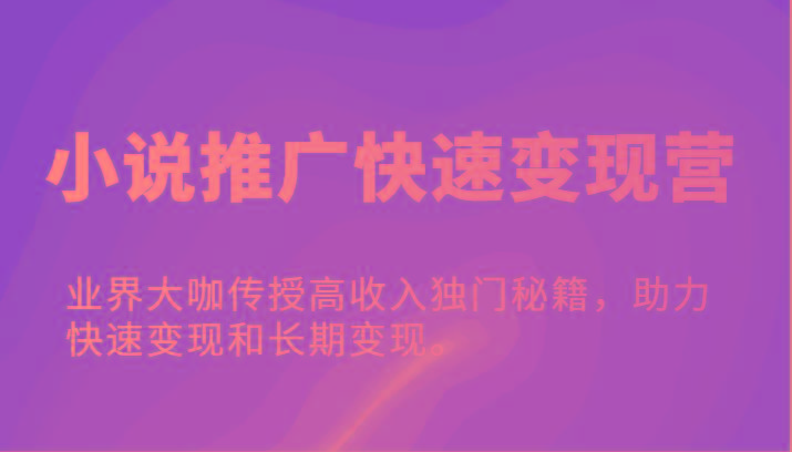 小说推广快速变现营-业界大咖传授高收入独门秘籍，助力快速变现和长期变现。-优创项目网