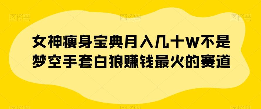 女神瘦身宝典月入几十W不是梦空手套白狼赚钱最火的赛道【揭秘】-优创项目网