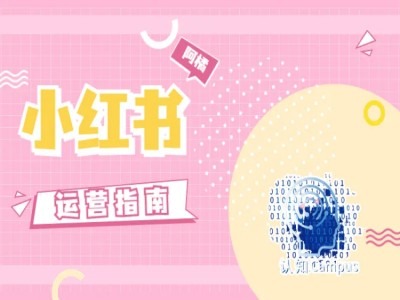 小红书运营指南，没有套路，全是经验-优创项目网