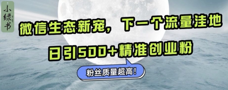 微信生态新宠小绿书：下一个流量洼地，日引500+精准创业粉，粉丝质量超高-优创项目网
