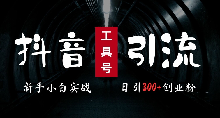 2024最新抖音工具号引流玩法，高效日引300+创业粉，当天变现5k，小白也可成为实战高手-优创项目网