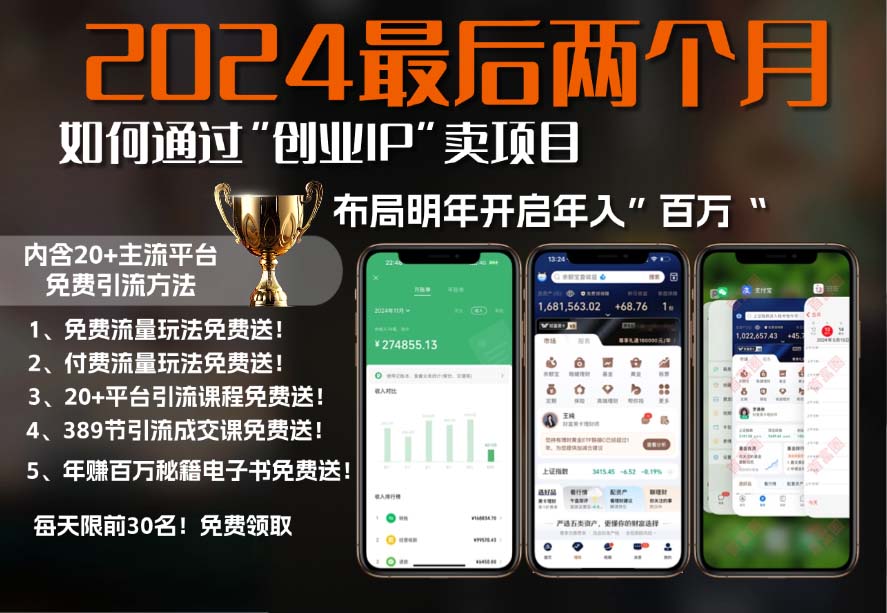 2024最后两个月如何通过”创业IP“卖项目年入”百万“,创业IP+最强引流...-优创项目网
