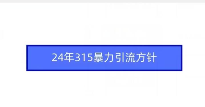 24年315暴力引流方针-优创项目网