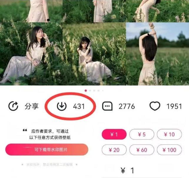 最新图虫搬运项目，收益无上限，利用AI小白也可日赚500+-优创项目网