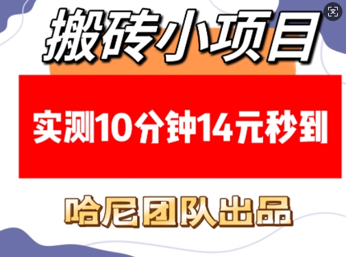 搬砖小项目，实测10分钟14元秒到，每天稳定几张(赠送必看稳定)-优创项目网