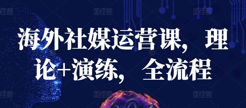 海外社媒运营课，理论+演练，全流程-优创项目网