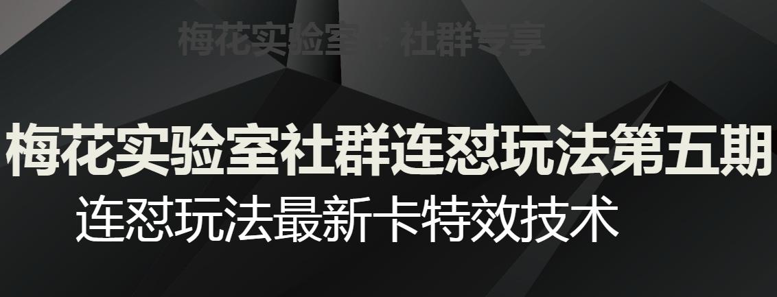 梅花实验室社群连怼玩法第五期，视频号连怼玩法最新卡特效技术-优创项目网